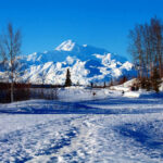 Cannock Chase Haunting: What Lurks in the Woods? Snowy mountain landscape with clear blue sky