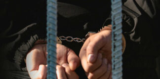 Cartel Power Play—Unsolved Murder Gets New Life