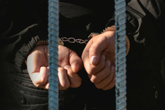 2472180041 Cartel Power Play—Unsolved Murder Gets New Life