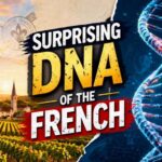 5,000-Year-Old Community Near Paris Vanished, Replaced by Migrants From Iberia 5,000-Year-Old Community Near Paris Vanished, Replaced by Migrants From Iberia