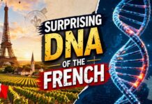 5,000-Year-Old Community Near Paris Vanished, Replaced by Migrants From Iberia