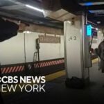 NYPD Detective Fatally Shoots Machete-Wielding Attacker After Grand Central Stabbing