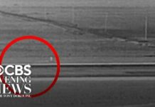 Thermal Footage Reveals Fatal Runway Breach at Denver International Airport