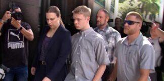 Stepbrother ordered into custody after violent cruise ship death