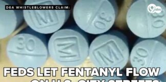 DEA whistleblower: Feds allowed millions of fentanyl pills to 'walk' on New Mexico streets