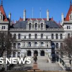 Woman Linked to ISIS Arrested for Planning Bomb Attack on New York State Capitol Woman linked to ISIS arrested for planning bomb attack on New York state capitol