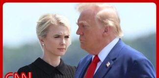 Natalie Harp once rode in the trunk of an SUV to join Trump at court
