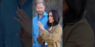 Prince Harry, Meghan remain non-working royals after return to the UK