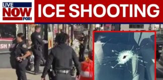 NEW: Person hospitalized after ICE shooting in New York
